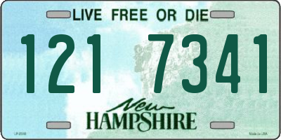 NH license plate 1217341
