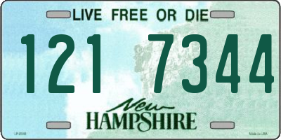 NH license plate 1217344