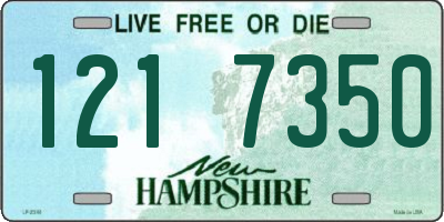 NH license plate 1217350