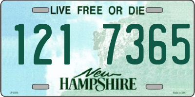 NH license plate 1217365