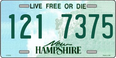 NH license plate 1217375