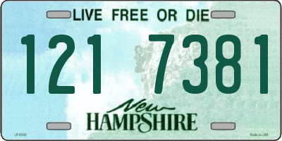 NH license plate 1217381