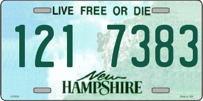 NH license plate 1217383