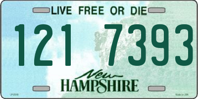 NH license plate 1217393