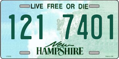 NH license plate 1217401