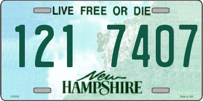 NH license plate 1217407