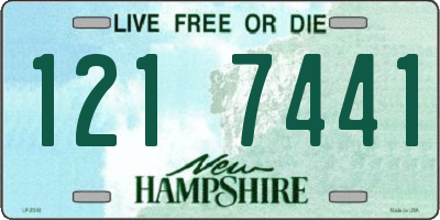 NH license plate 1217441