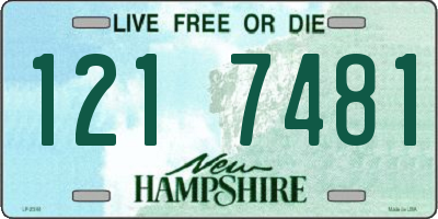 NH license plate 1217481