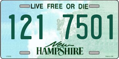 NH license plate 1217501