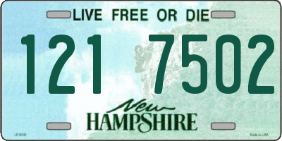 NH license plate 1217502