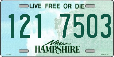 NH license plate 1217503