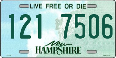 NH license plate 1217506