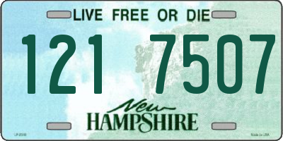 NH license plate 1217507