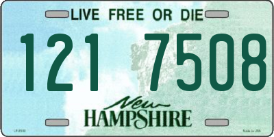 NH license plate 1217508