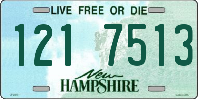 NH license plate 1217513