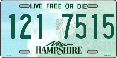 NH license plate 1217515