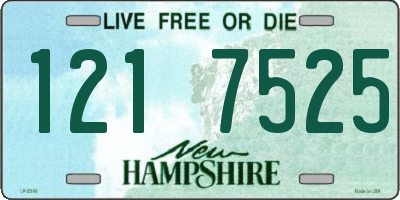 NH license plate 1217525