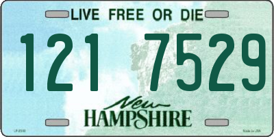 NH license plate 1217529