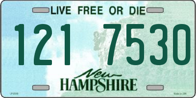 NH license plate 1217530