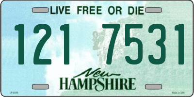 NH license plate 1217531