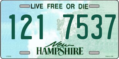 NH license plate 1217537
