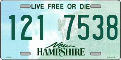 NH license plate 1217538