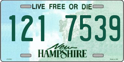 NH license plate 1217539