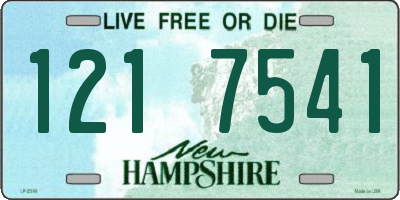 NH license plate 1217541
