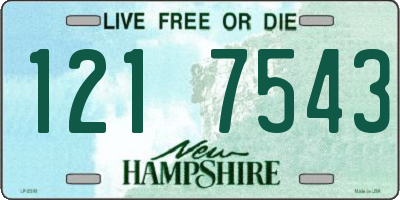 NH license plate 1217543