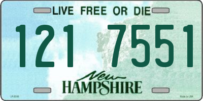 NH license plate 1217551