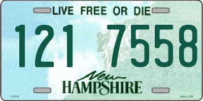 NH license plate 1217558