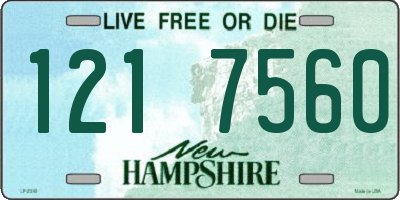 NH license plate 1217560