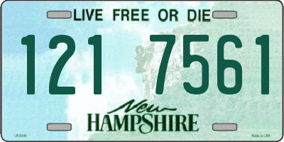 NH license plate 1217561
