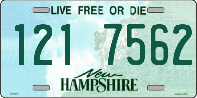 NH license plate 1217562