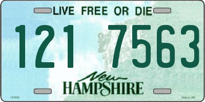NH license plate 1217563