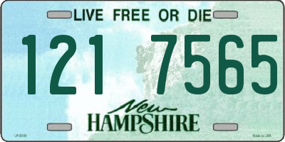NH license plate 1217565