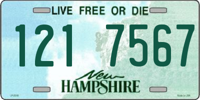 NH license plate 1217567