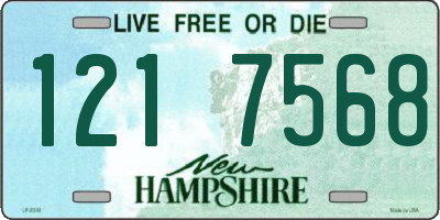 NH license plate 1217568