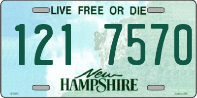 NH license plate 1217570