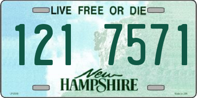 NH license plate 1217571