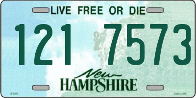 NH license plate 1217573