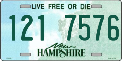 NH license plate 1217576