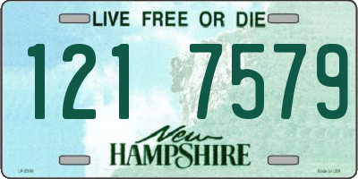 NH license plate 1217579