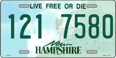 NH license plate 1217580