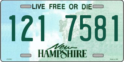 NH license plate 1217581