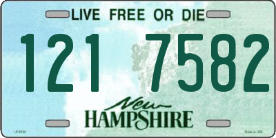 NH license plate 1217582