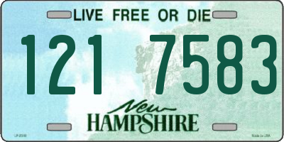NH license plate 1217583