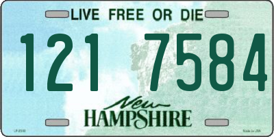 NH license plate 1217584