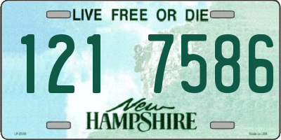 NH license plate 1217586