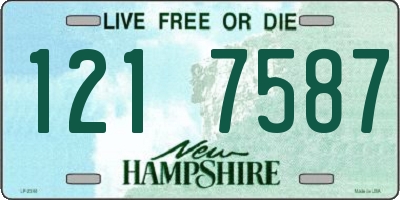 NH license plate 1217587